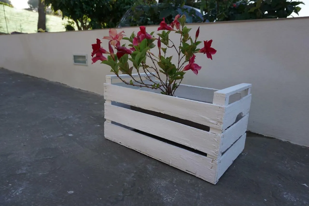 Aurora Home Alcamo Marina Italia